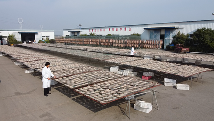 大冶 做足漁業文章，盤活水產經濟，打造特色農產品新名片